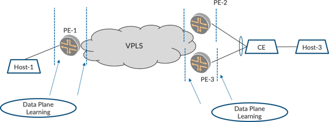 Virtual Private LAN Service network diagram showing Host-1 and Host-3 connected through PE devices and the VPLS cloud, illustrating Layer 2 connectivity and data plane learning.