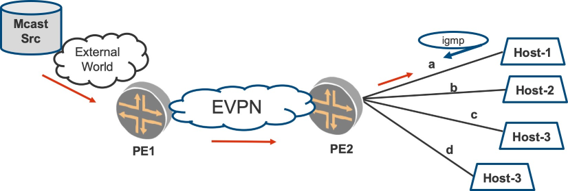 Network topology illustrating EVPN and multicast traffic. Multicast source from external world sends traffic to PE1. EVPN connects PE1 and PE2. Hosts (Host-1, Host-2, Host-3) on PE2 receive traffic via IGMP.
