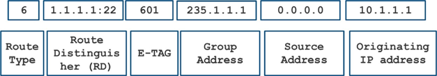 Multicast routing table with fields: Route Type 6, Route Distinguisher 1.1.1.1:22, E-TAG 601, Group Address 235.1.1.1, Source Address 0.0.0.0, Originating IP Address 10.1.1.1.