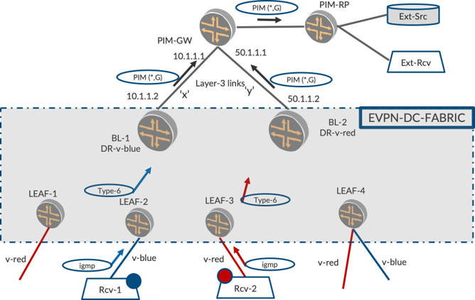 Network topology diagram of an EVPN data center fabric with multicast routing. Shows EVPN-DC-FABRIC, leaf and border leaf switches, PIM components, multicast groups with traffic flow, IGMP messages, Type-6 messages, and external source and receiver.