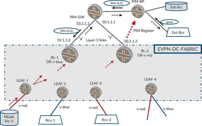 Network diagram of multicast traffic flow in a data center using EVPN and PIM, showing leaf switches, multicast source and receivers, PIM gateway and rendezvous point, border leaf switches, external source and receiver, with red and blue arrows for v-red and v-blue multicast groups, and dashed arrows for control messages.