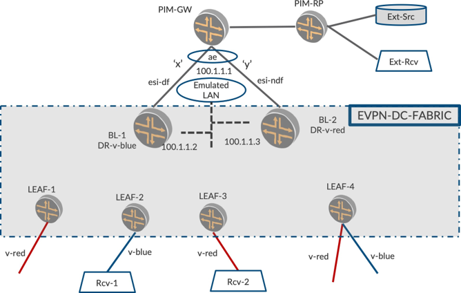 Network topology diagram for EVPN data center fabric, showing leaf and border leaf switches, multicast components, and traffic flows.