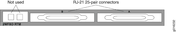 Rear Panel of CTP2000-2WFXO RTM
