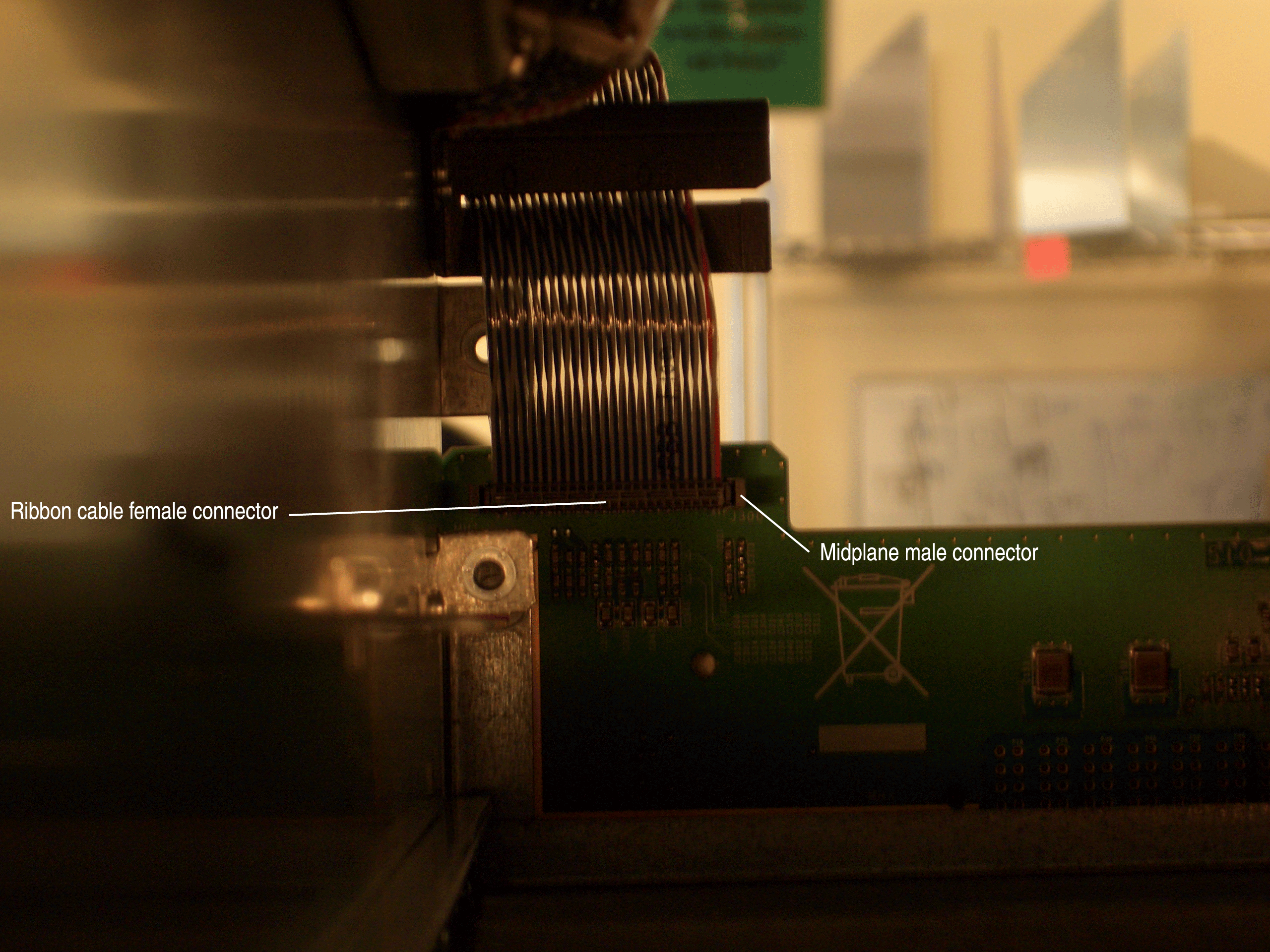Close-up of electronic components showing a ribbon cable female connector interfacing with a midplane male connector on a circuit board.