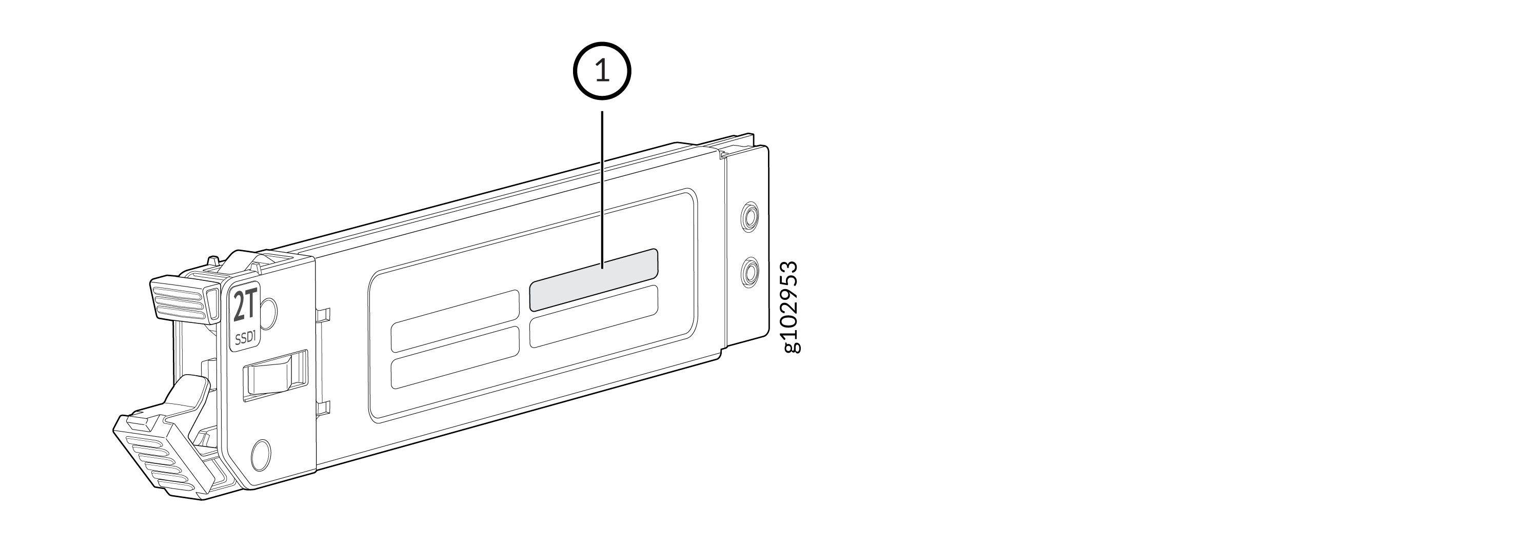 Technical illustration of a 2TB SSD module for server use with labeled part 1 indicating a specific feature.