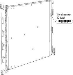 Serial Number Label (IOC Shown, Other Cards Similar)