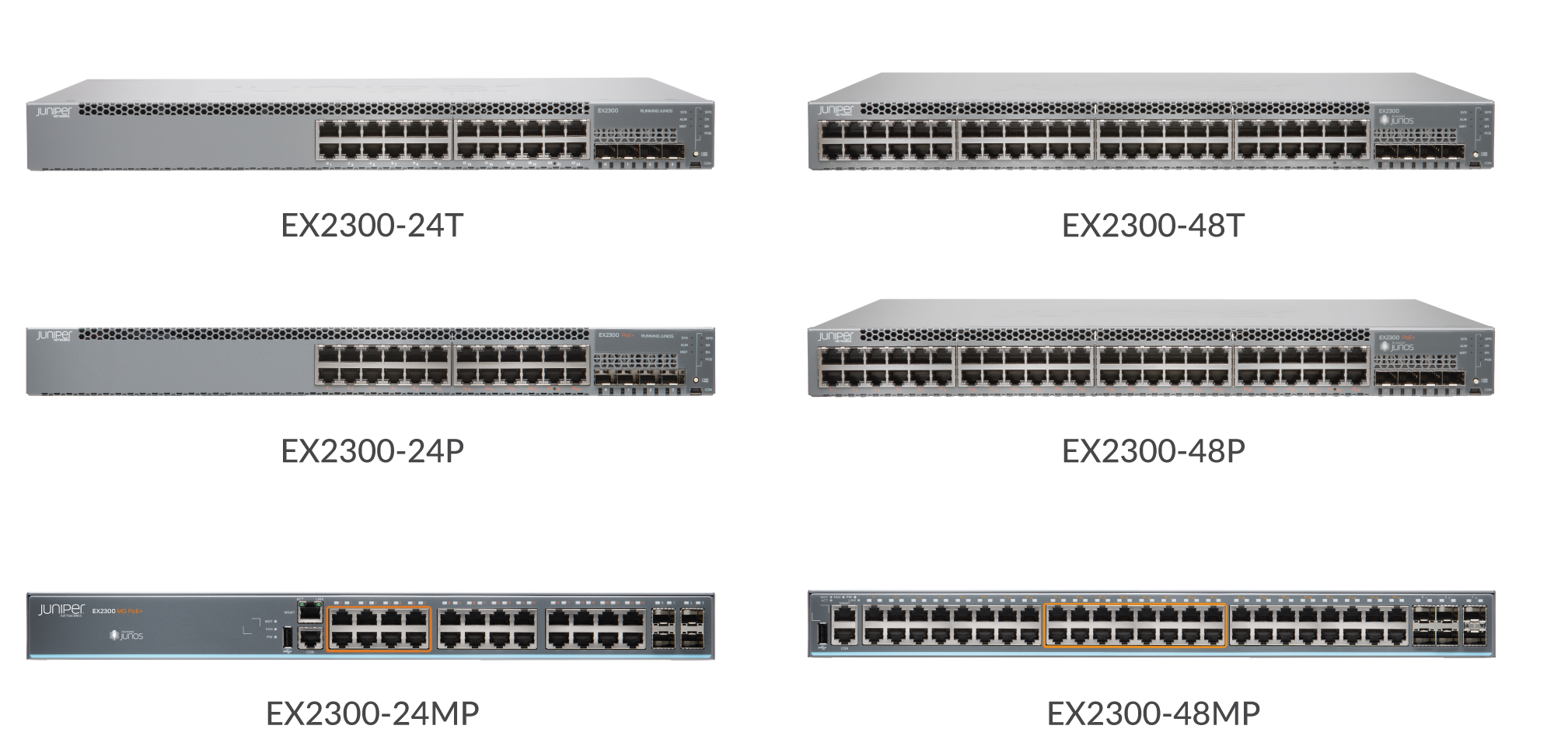 Juniper Networks EX2300 series network switches: models 24T, 48T, 24P, 48P, 24MP, and 48MP.