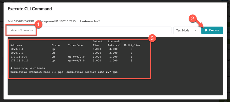 Screenshot of a network interface showing CLI command execution for BFD session details: address, state, interface, detect time, transmit interval, and multiplier.