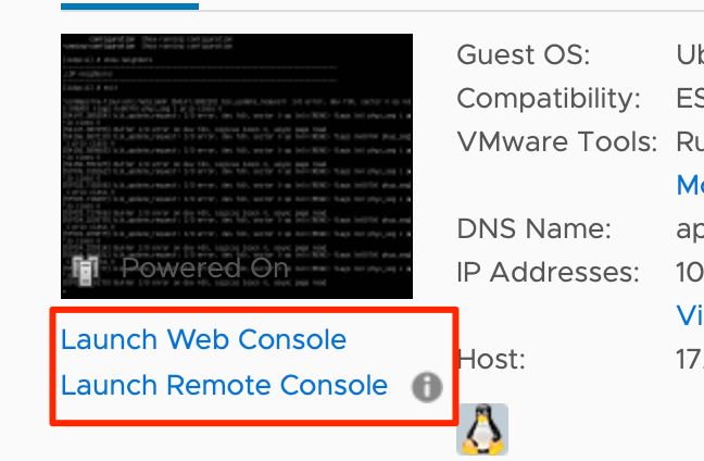 VMware vSphere interface showing a VM powered on running Ubuntu OS with DNS name and IP address. Options: Launch Web Console and Launch Remote Console.