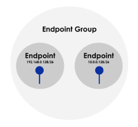 Endpoint group diagram with two endpoints: IP address 192.168.0.128/26 and IP address 10.0.0.128/26, showing connections within the group.