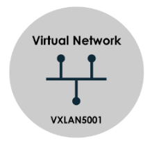 Virtual network diagram labeled VXLAN5001 showing interconnected nodes for network connections.