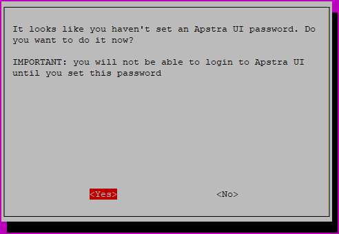 Dialog box prompts to set Apstra UI password. Important message: Cannot login without password. Options: Yes (highlighted) and No.