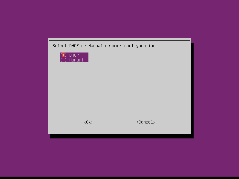 Dialog box for selecting network configuration method with options DHCP for automatic setup and Manual for manual setup. OK and Cancel buttons are at the bottom. DHCP is selected.