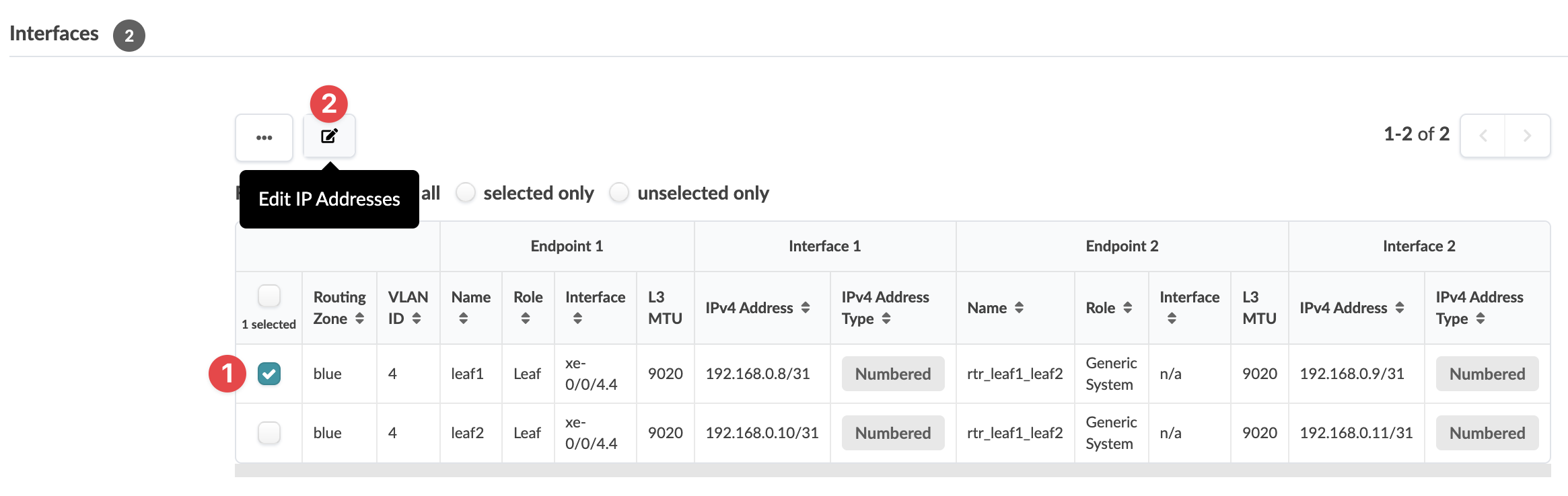 Network management interface showing interfaces table with routing zone Default routing zone, VLAN ID 100, endpoints, and Edit IP Addresses button.
