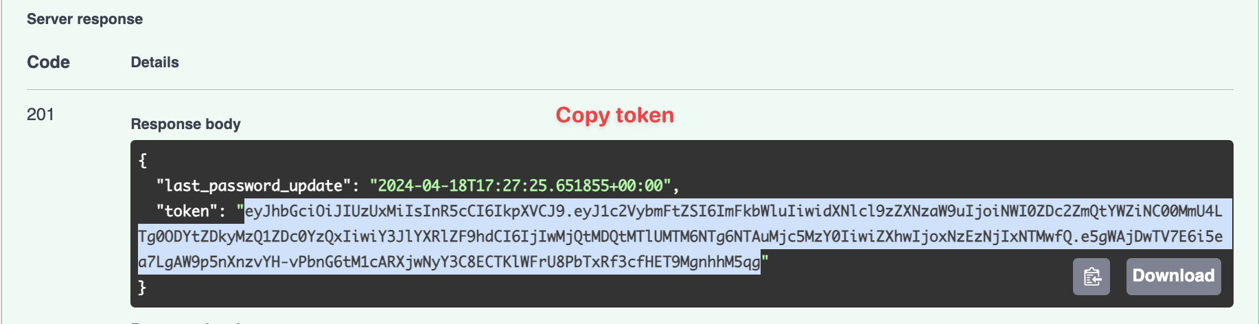 Server response screenshot showing code 201 for successful resource creation. Contains last_password_update timestamp and JWT token with Copy token label. Download button visible.
