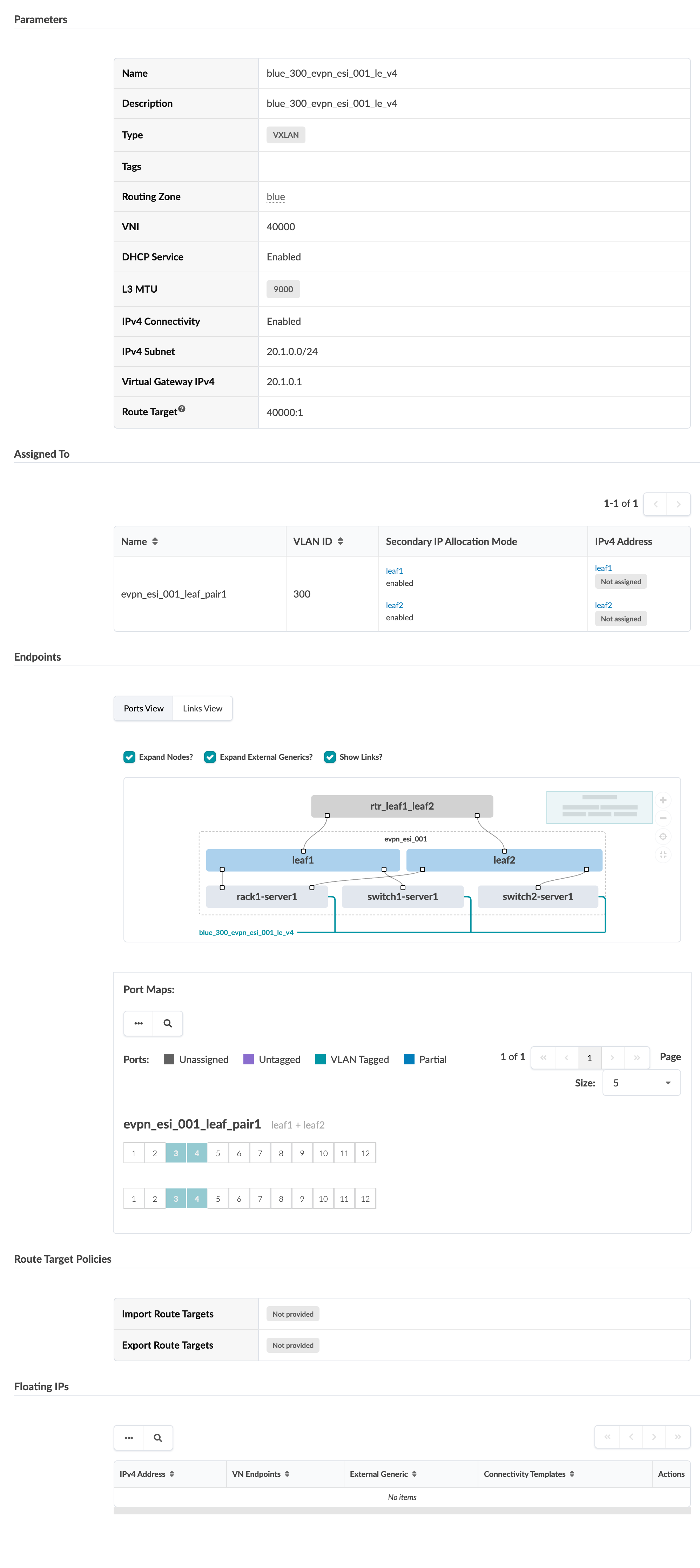 VXLAN config interface screenshot showing details of a network setup, including parameters, assignments, endpoints, and port mappings for blue_300_evpn_esi_001_le_v4.