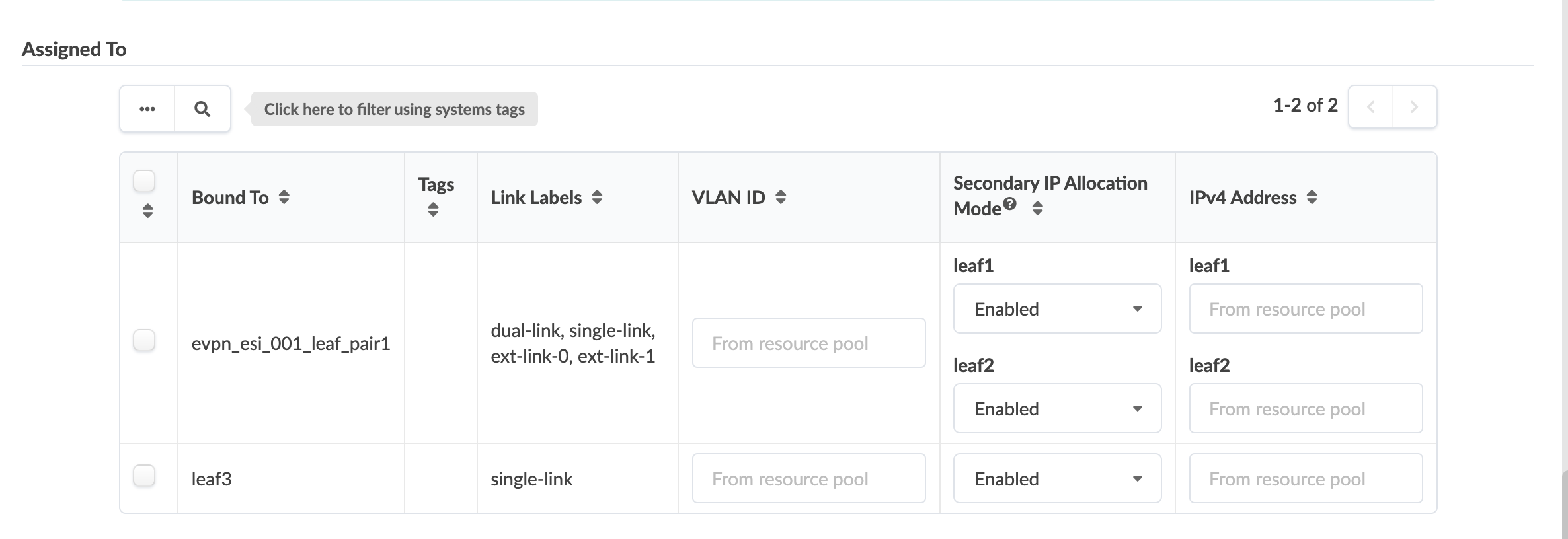 Table showing network configuration details with columns for Bound To, Tags, Link Labels, VLAN ID, Secondary IP Allocation Mode, and IPv4 Address. Includes filtering option using system tags.
