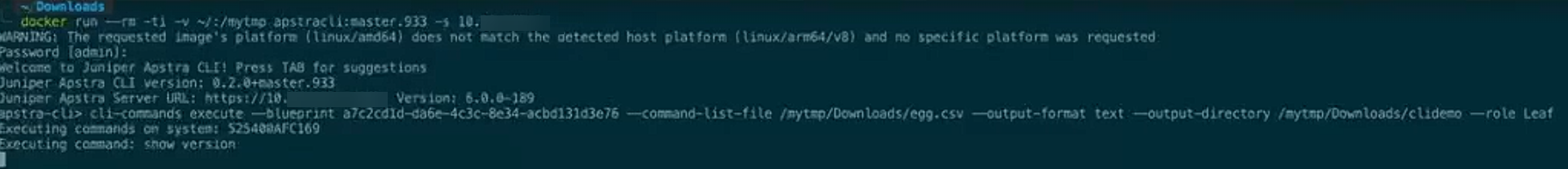 Terminal showing Juniper Apstra CLI commands for managing network infrastructure, including container execution and version display.