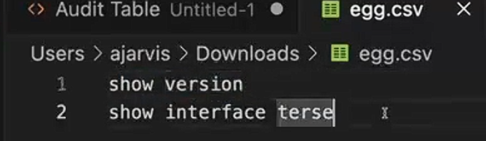 Text editor showing a file named egg.csv in Downloads folder. The file contains two lines: show version and show interface terse. Tab labeled Audit Table is visible.