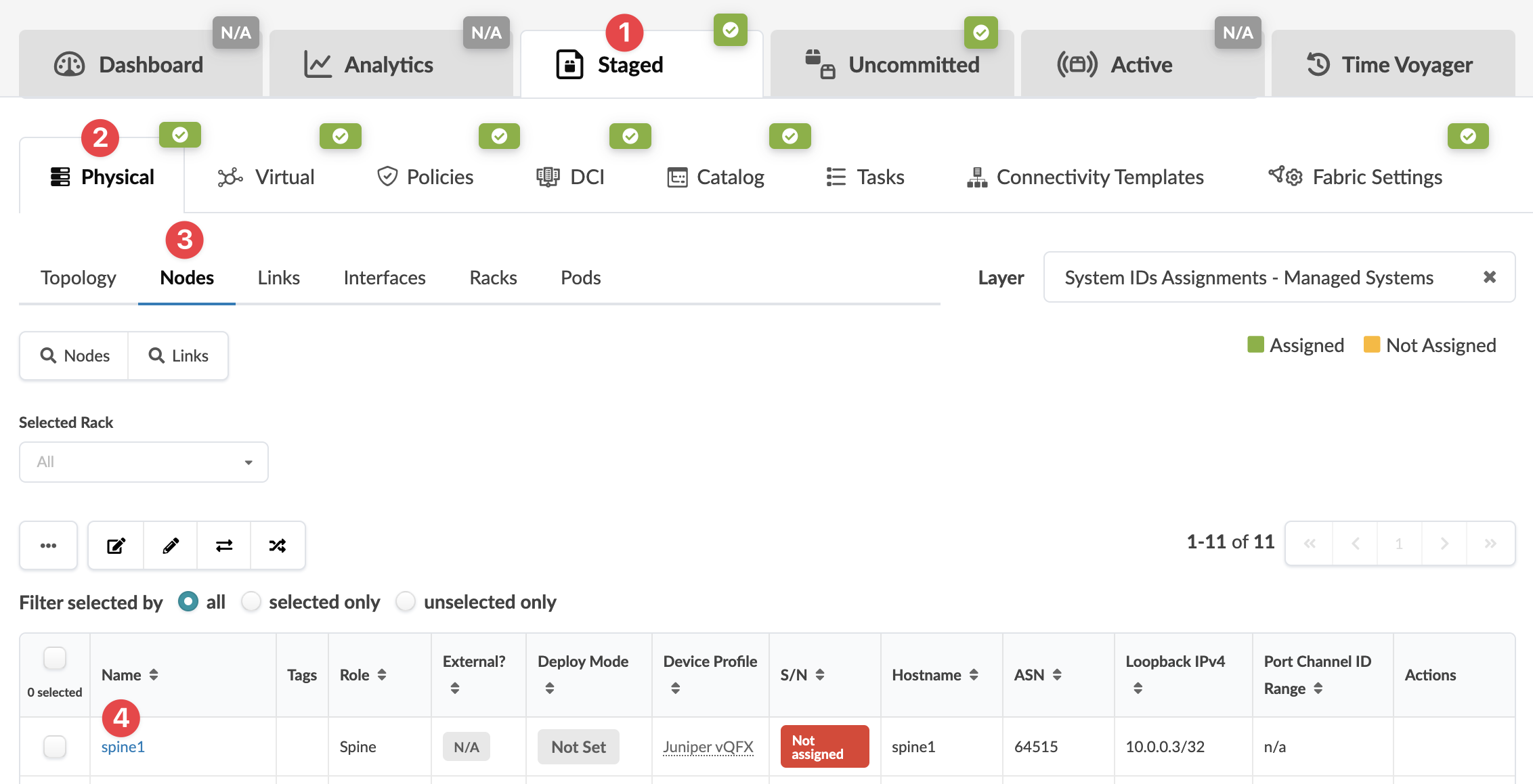 Screenshot of a network management interface showing tabs like Dashboard and Analytics and a Nodes tab listing network nodes with details such as Name and Role.