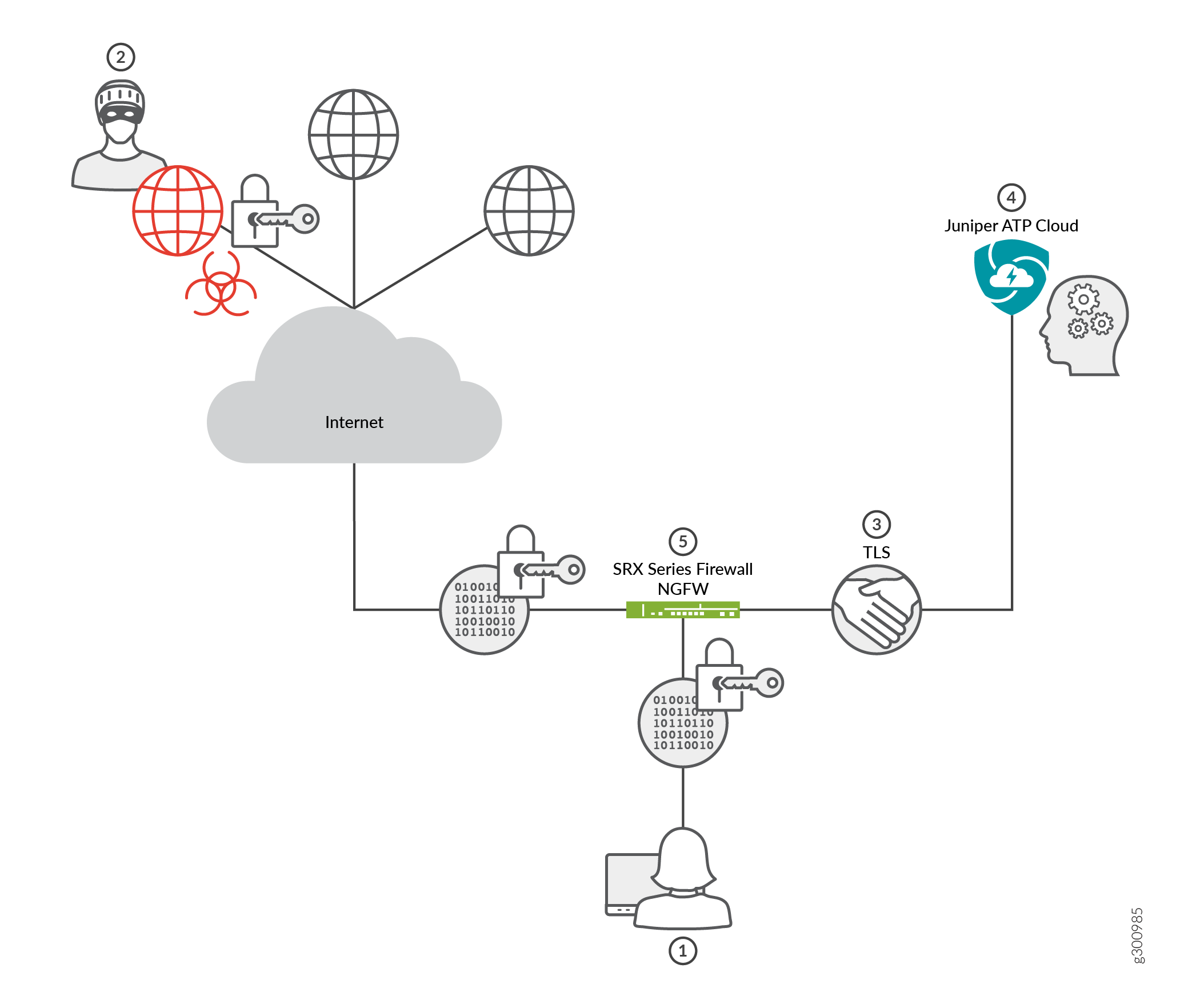 Topology for encrypted traffic insights