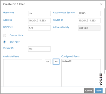 Create BGP Peer Window