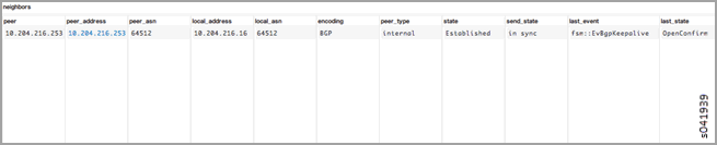 Sample Established IBGP Peer Introspect Window