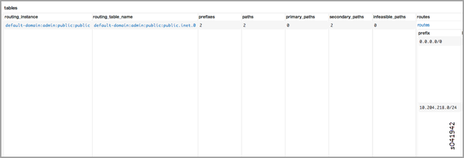 Routing Instance Public IPv4 Route Table