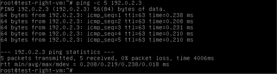 Ping command output in Linux terminal testing network connectivity to IP address 192.0.2.3 with 5 packets sent and received successfully, 0 percent packet loss, and low round-trip times indicating a stable connection.