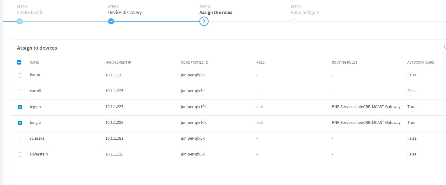 Network configuration interface on Step 3: Assign the roles. Devices listed with columns Name, Management IP, Node Profile, Role, Routing Roles, Autoconfigure status. Some roles and routing roles assigned, autoconfigure set to True for some devices.