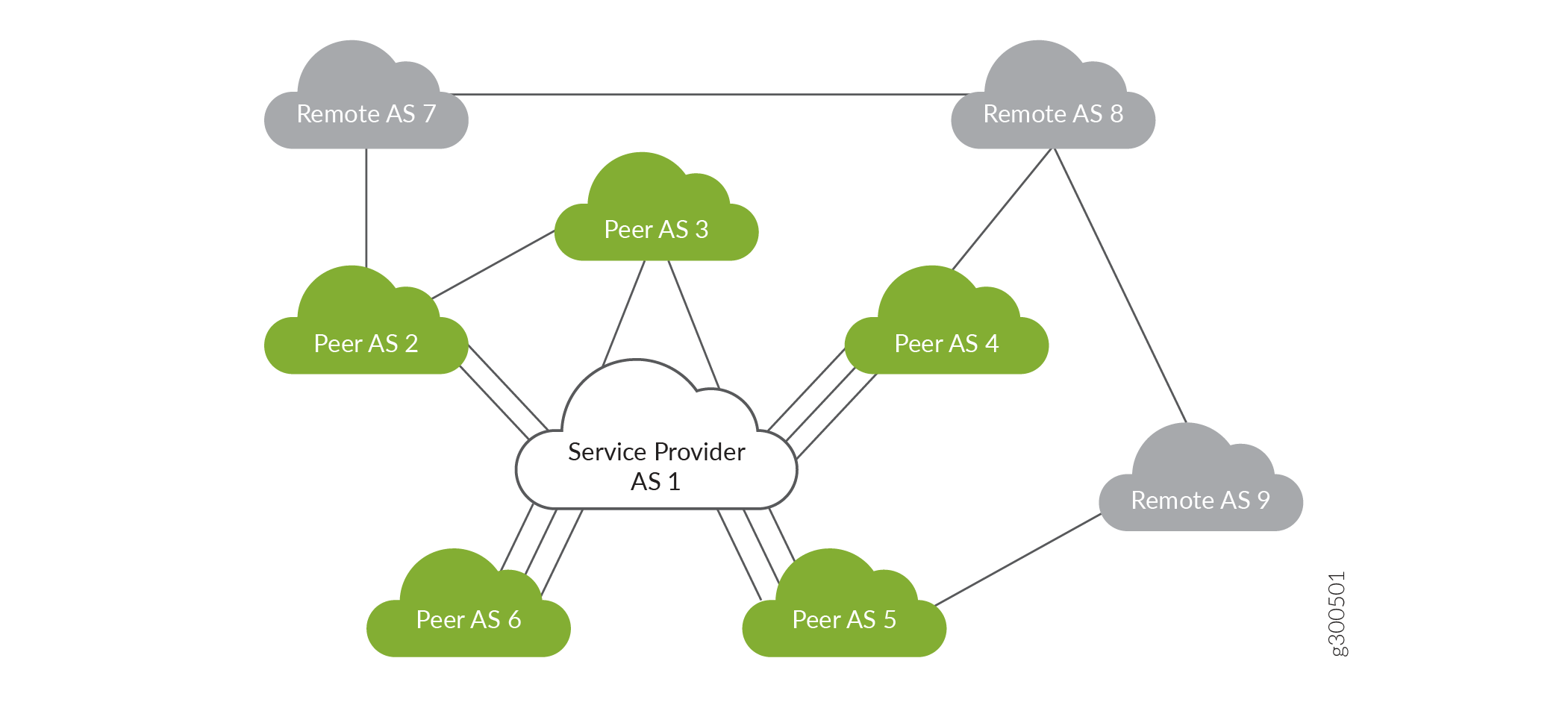 Network topology diagram showing Service Provider AS 1, connected to Peer AS 2-6 and indirectly to Remote AS 7-9 via routing links.