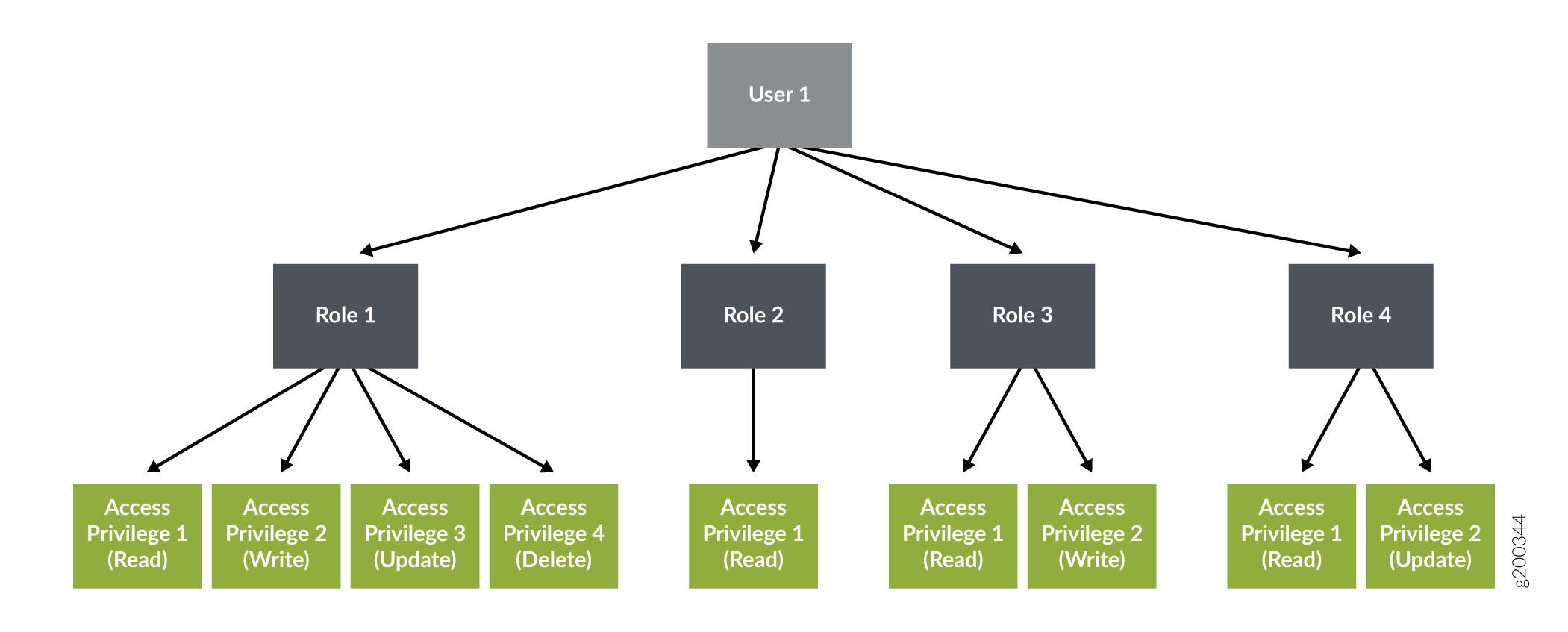 Relationship Between a User, Roles, and Access Privileges
