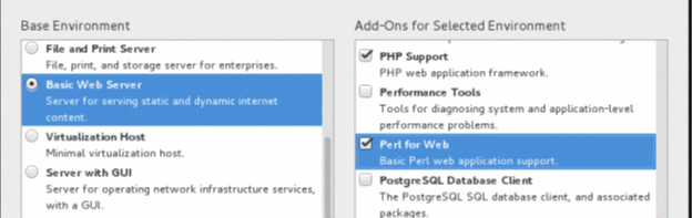 Configuration screen for selecting server environment and add-ons. Basic Web Server selected with PHP Support, Performance Tools, and Perl for Web checked.