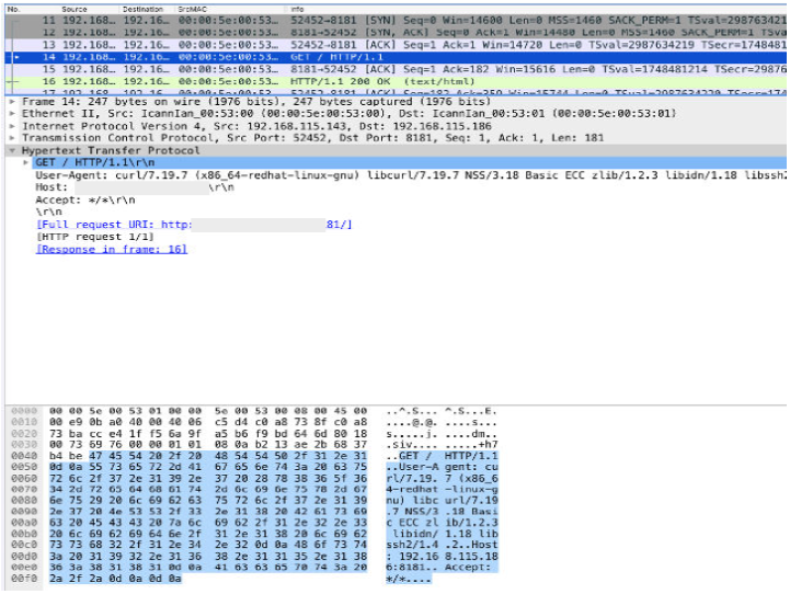 Packet Capture from an Internal Flow Source
