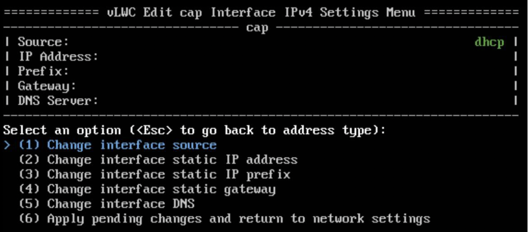 IPv4 settings menu for interface cap with DHCP source, options to change source, static IP, prefix, gateway, DNS, apply changes.