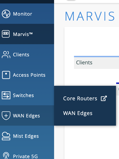 Network management interface with navigation menu. WAN Edges expanded to show Core Routers and WAN Edges options.