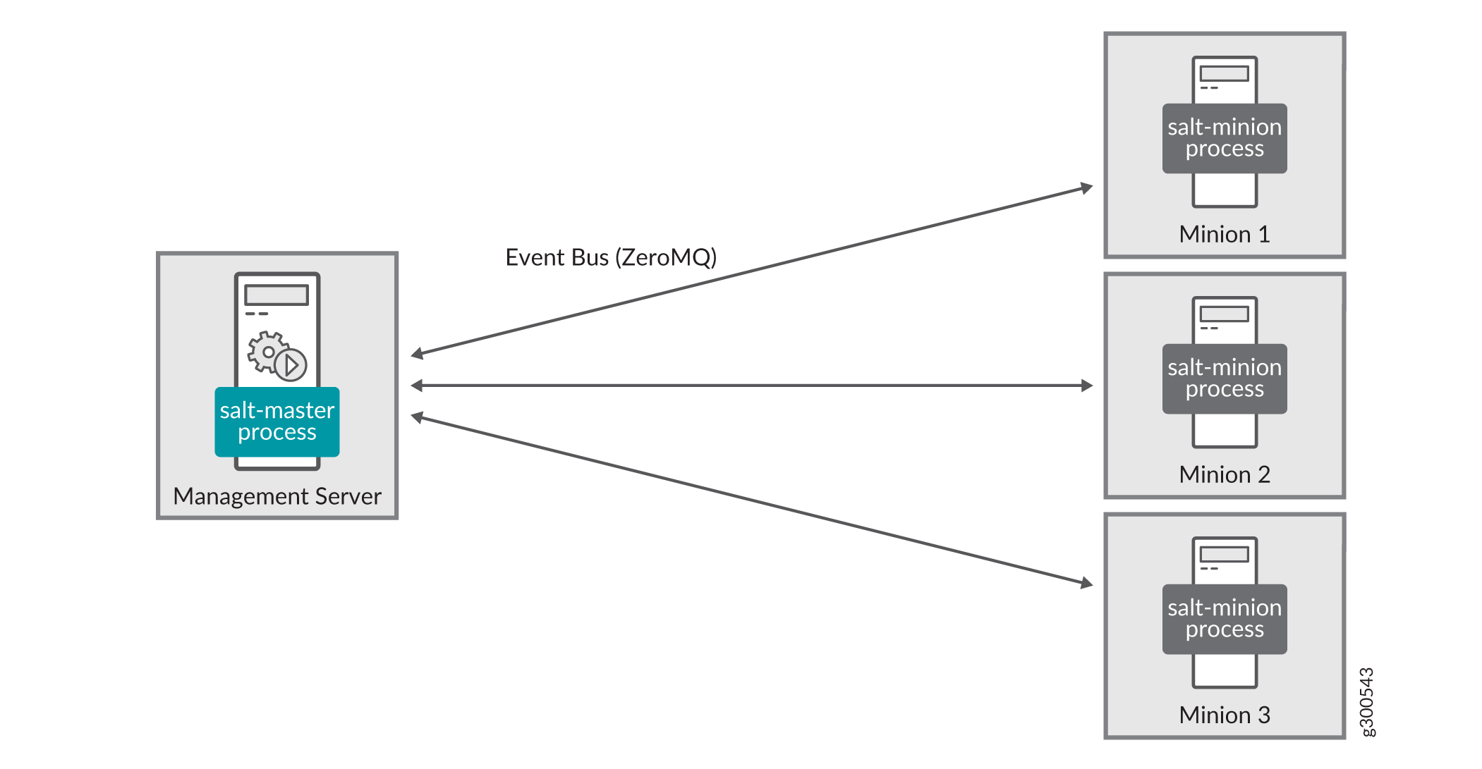 Salt Server/Client Architecture