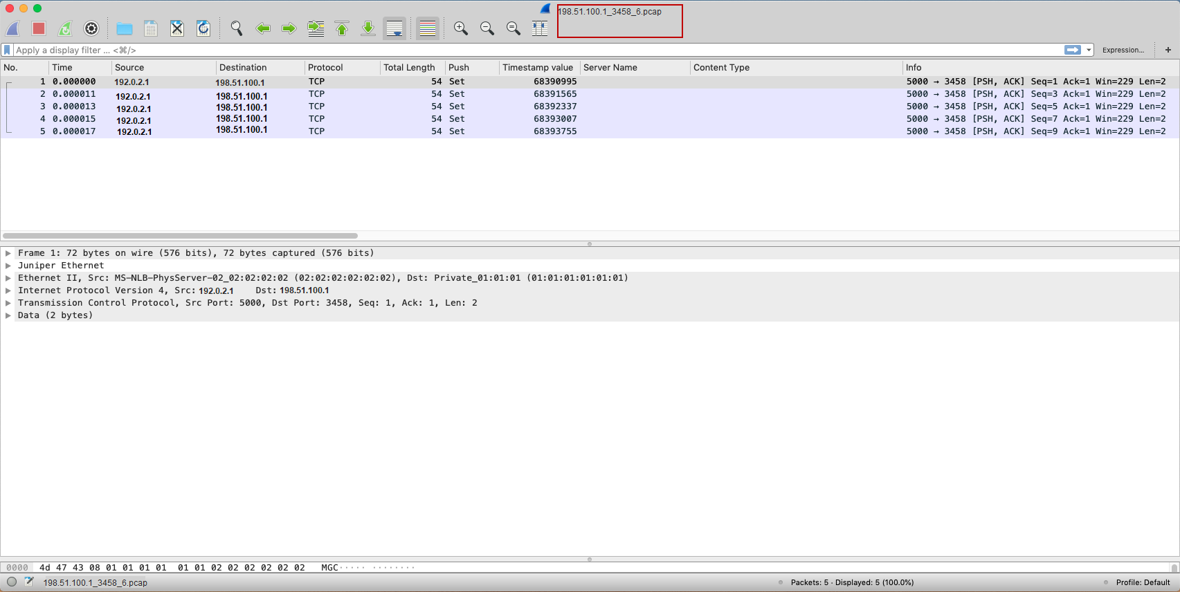 Wireshark screenshot displaying captured packets from a .pcap file. Shows packet list with columns like No., Time, Source, Destination, Protocol, and Info. Packet details include Ethernet II, IP, TCP layers, and 2-byte data payload. Packet bytes in hex and ASCII shown.