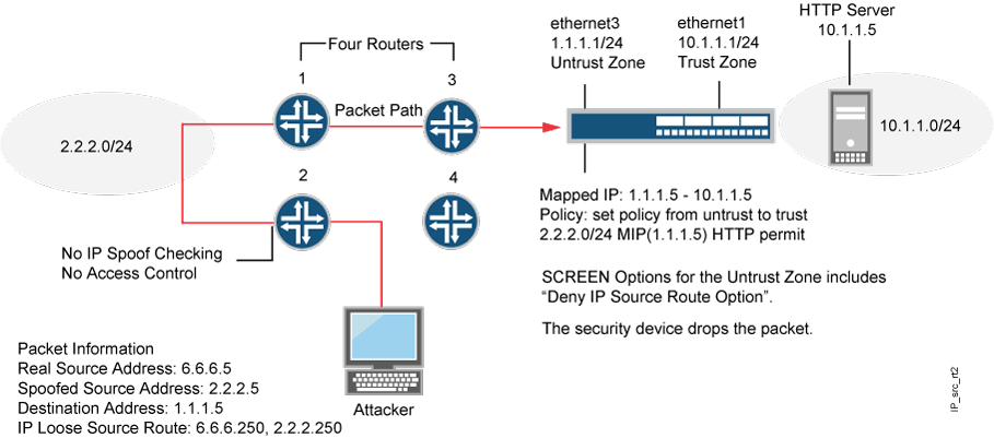 Loose IP Source Route Option for Deception