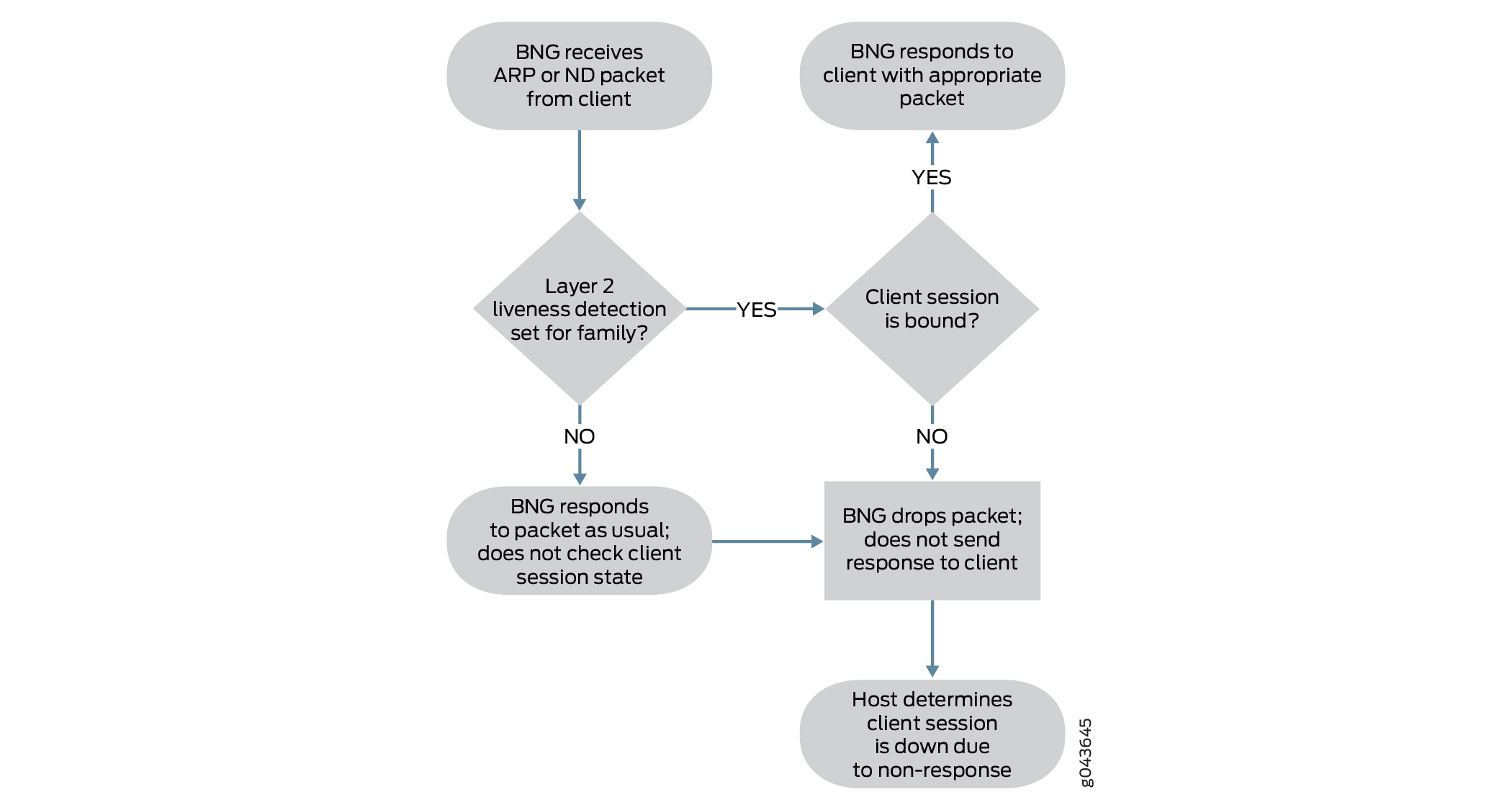 Flowchart of ARP or ND packet handling by BNG: BNG receives packet from client. If Layer 2 liveness detection is set, check if client session is bound. If yes, respond; if no, drop the packet. If liveness detection is not set, respond as usual.