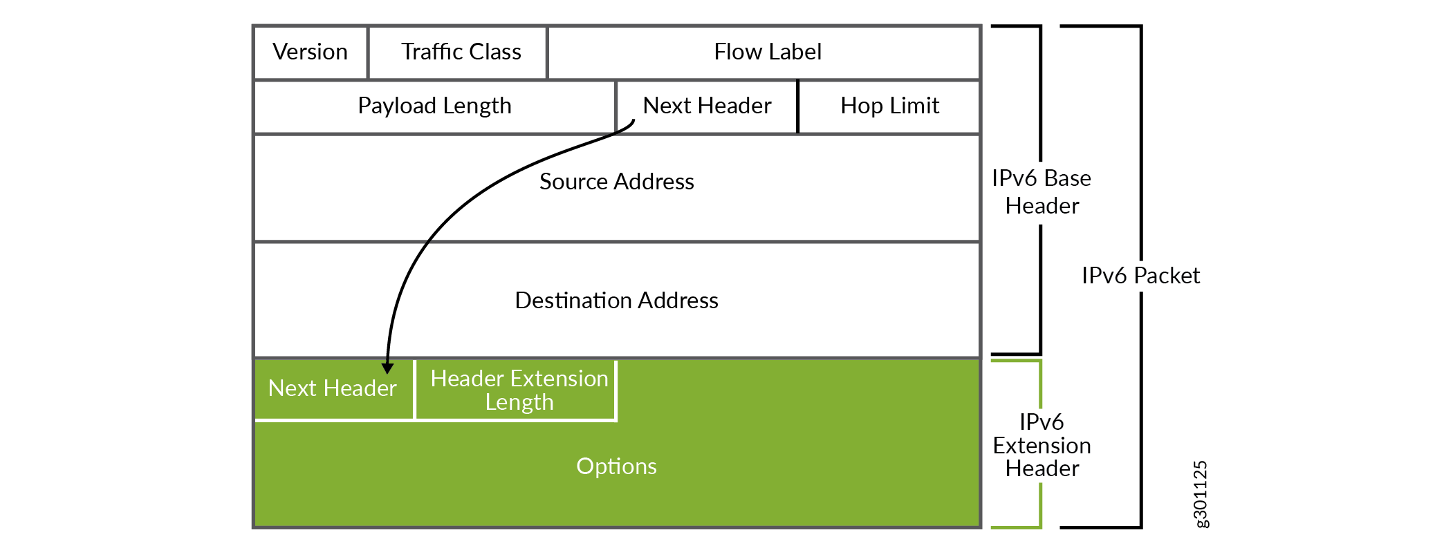 IPv6 packet structure diagram showing Base Header with fields Version, Traffic Class, Flow Label, Payload Length, Next Header, Hop Limit, Source Address, Destination Address, and Extension Header with fields Next Header, Header Extension Length, Options.