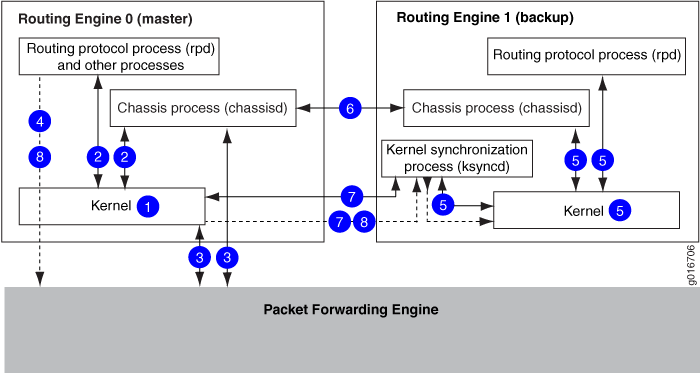 Network device architecture showing master and backup routing engines with packet forwarding engine for high availability.