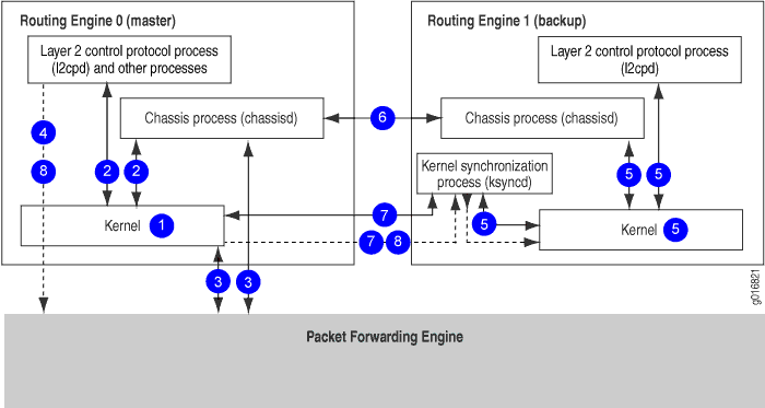 Diagram showing interaction between master and backup routing engines and a packet forwarding engine. Master engine has Layer 2 control protocol and other processes, including chassisd and kernel. Backup engine has Layer 2 control protocol, chassisd, kernel, and ksyncd. Packet forwarding engine interacts with both. Arrows indicate communication paths.