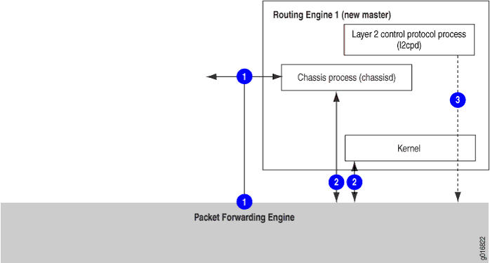 Interaction between Packet Forwarding Engine and Routing Engine in a network device, focusing on Layer 2 protocol communication and chassis management.