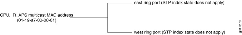 Network diagram with central node labeled EXPL_R_APS multicast MAC address 01-14-18-52-00-00-01, two branches labeled east ring port STP index state does not apply and west ring port STP index state does not apply.