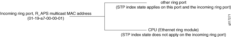Diagram of network communication showing the handling of incoming ring port traffic. Port 1 with multicast MAC address 01-1B-87-00-00-01. STP index state and CPU processing in Ethernet ring module.