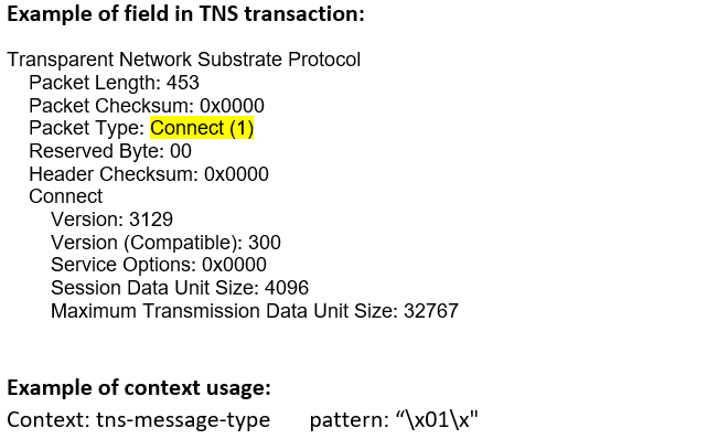 Transparent Network Substrate packet structure example: Packet Length 453, Packet Type Connect highlighted in yellow, Version 3129.