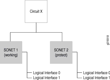 Network diagram showing Circuit X with redundancy: SONET 1 as working connection with Logical Interfaces 0 and 6; SONET 2 as protect connection with Logical Interfaces 9 and 1.