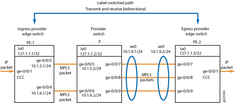 Flow of packets in an MPLS network from ingress PE switch PE-1 to egress PE switch PE-2 via provider switch, using label-switched path.