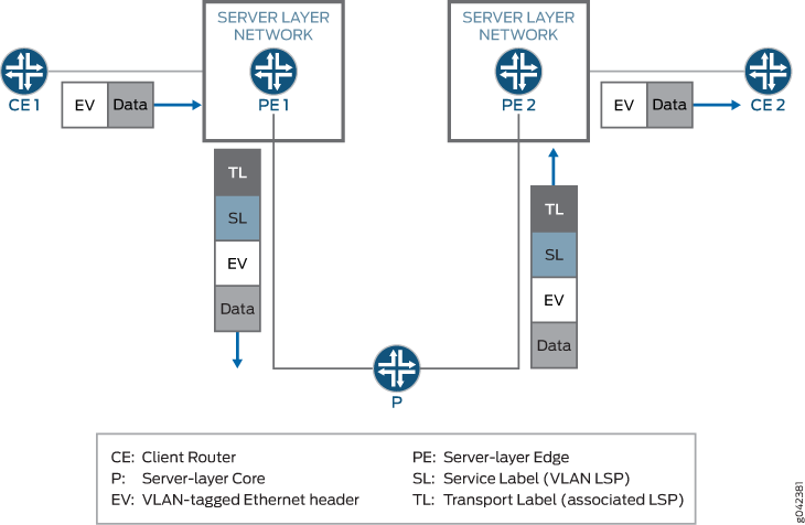 Network diagram showing data transmission from client router CE 1 to CE 2 through server-layer network with edge devices PE 1, PE 2, and core device P. Data is encapsulated with VLAN-tagged Ethernet header, service label, and transport label.
